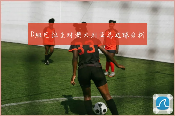 D组巴拉圭对澳大利亚总进球分析