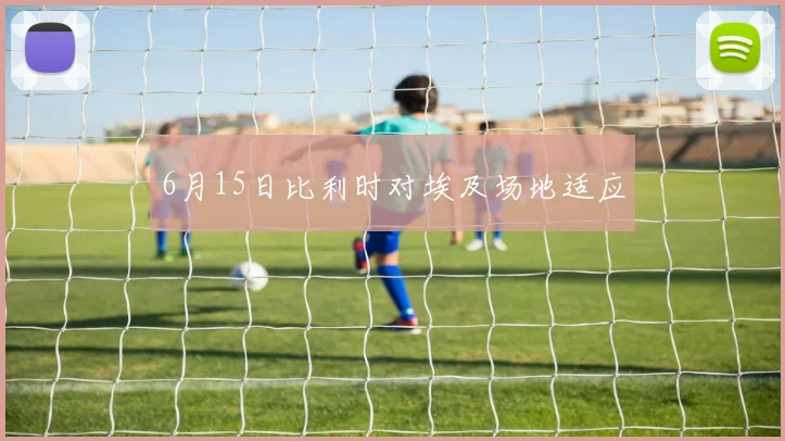 6月15日比利时对埃及场地适应