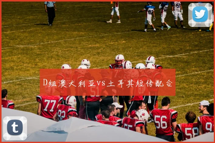 D组澳大利亚vs土耳其短传配合