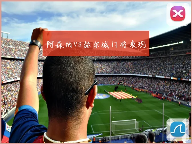 阿森纳vs赫尔城门将表现