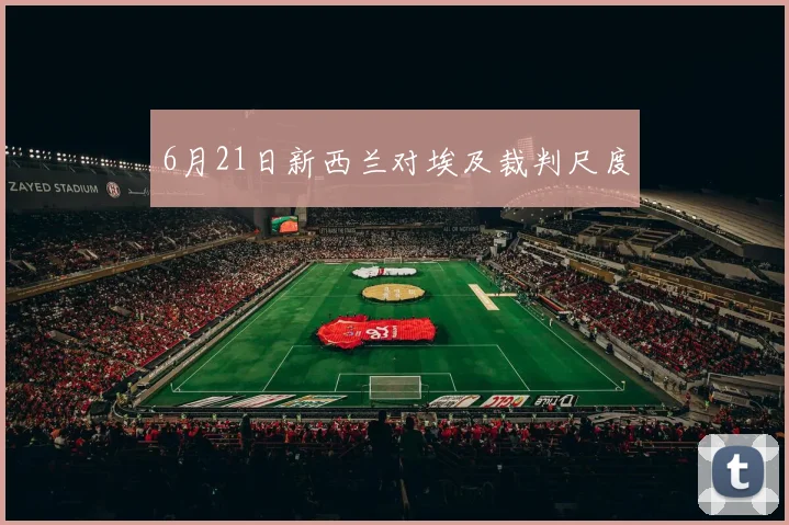 6月21日新西兰对埃及裁判尺度